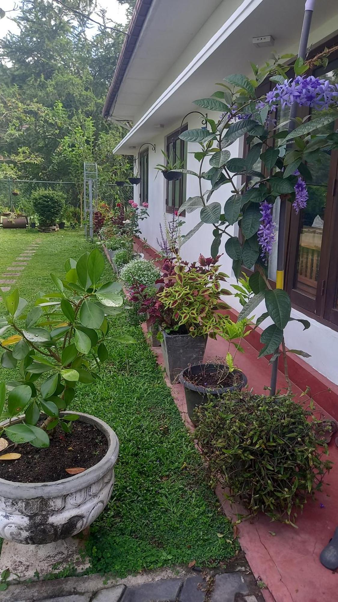 Hotel Mahaweli Shades Kandy Esterno foto